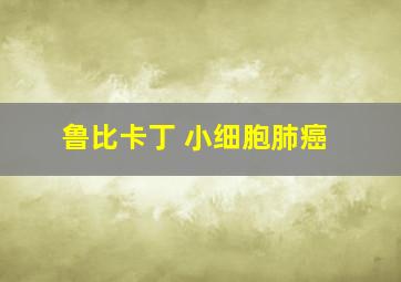 鲁比卡丁 小细胞肺癌